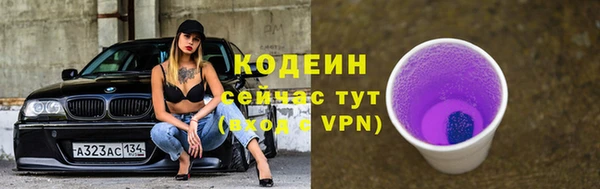 индика Медногорск