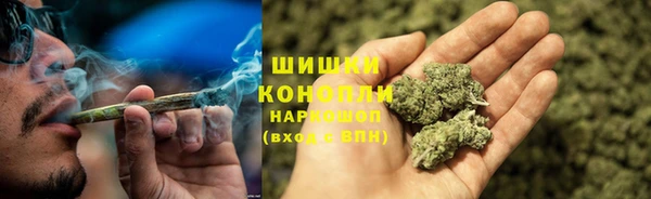 дурь Мегион