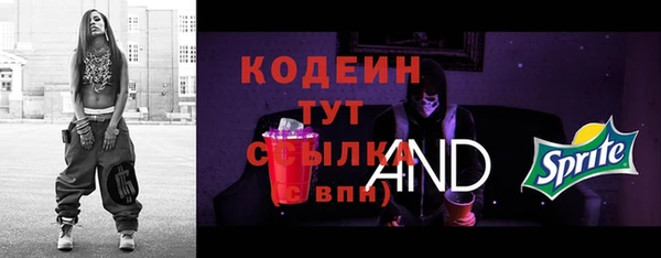 индика Медногорск