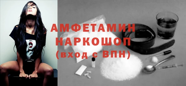 индика Медногорск