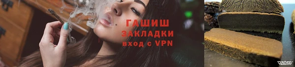 индика Медногорск