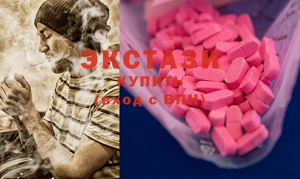 индика Медногорск