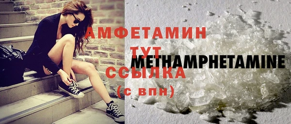 индика Медногорск
