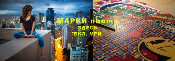 индика Медногорск