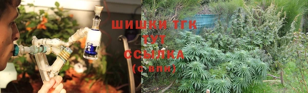 индика Медногорск