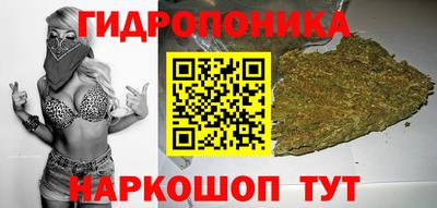 MDMA Premium VHQ Камышлов