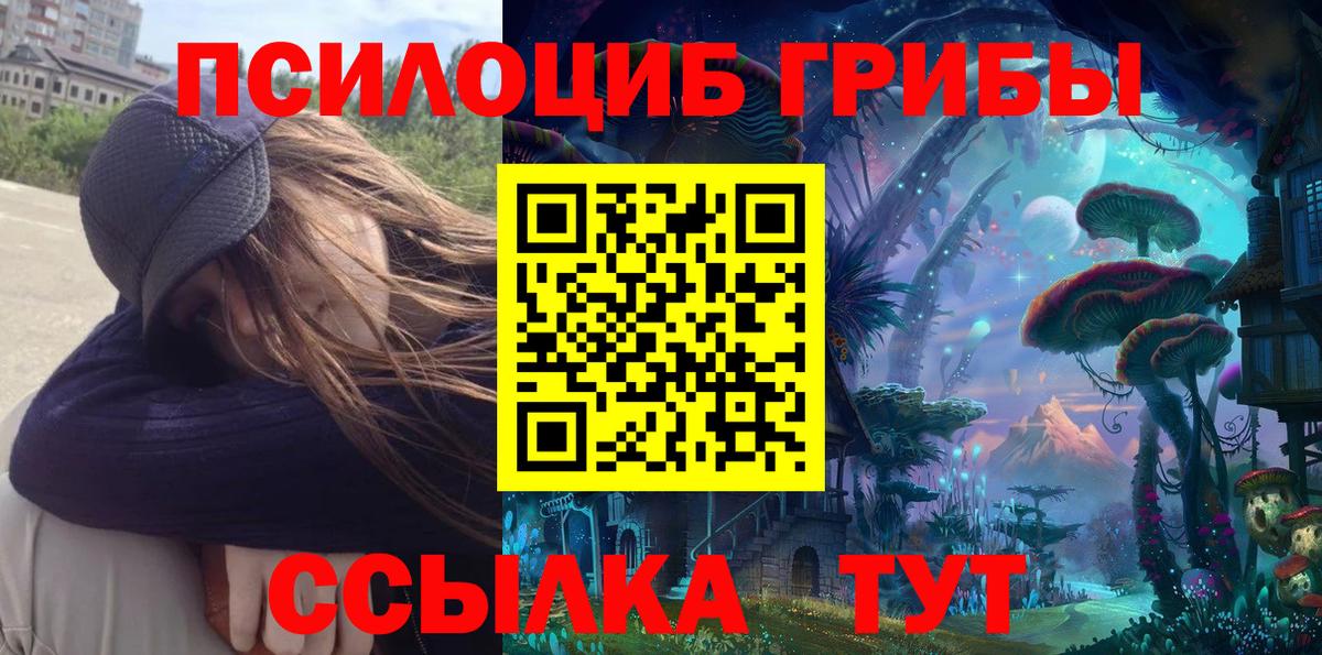 Псилоцибиновые грибы Psilocybine cubensis  Вход с VPN  Юрга 